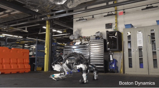 2024: The Year of Robotics? Musk Supports Prediction of Billions of Humanoid Robots as Industry Evolves 40 image 4