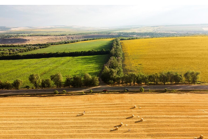 Inspection Drone E900 12 farm